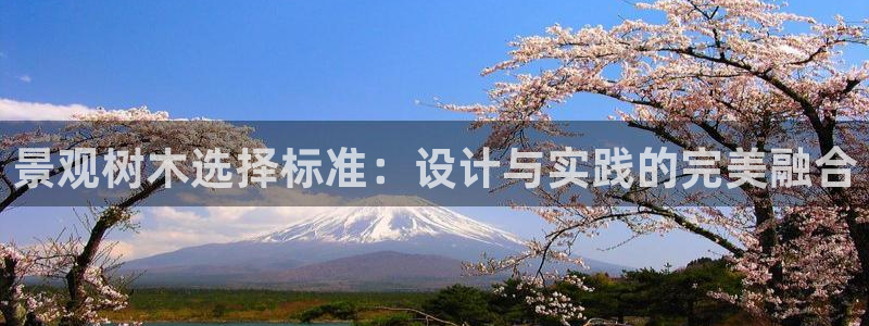 摩根娱乐平台黑