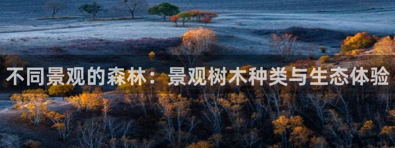 摩根国际 亚太 娱乐宝