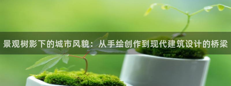 白宫摩根娱乐场所