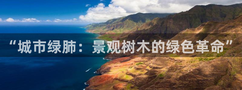 摩根娱乐宝代理