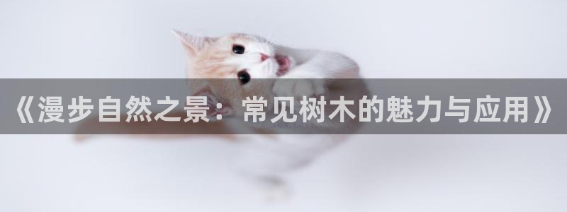 摩根大通会员买金沙娱乐