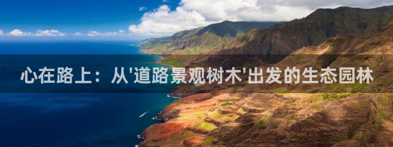 摩根娱乐平台黑