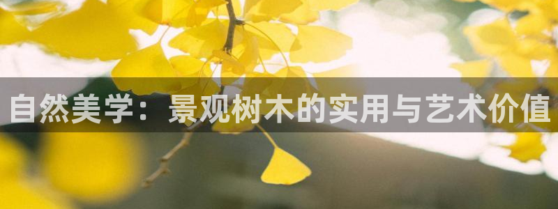 摩根娱乐50186夂