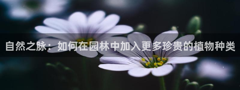 摩根娱乐宝。知道吗