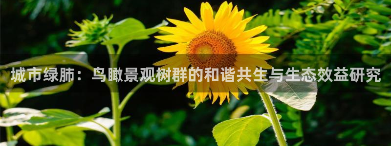 摩根娱乐50186夂