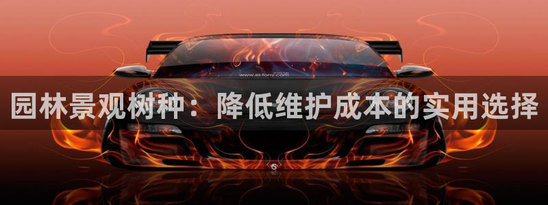 摩根娱乐宝秒单