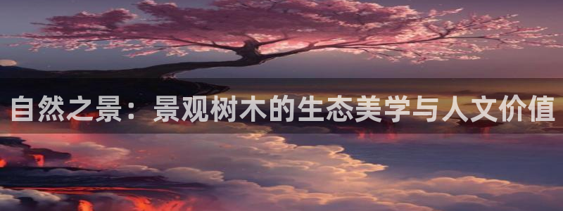 摩根娱乐宝进不去