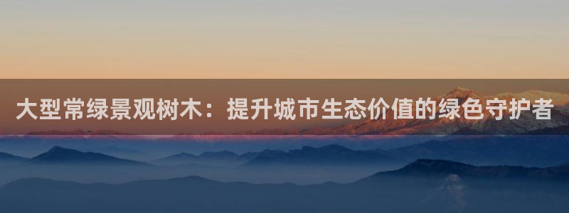 泉州摩根娱乐会所怎么样