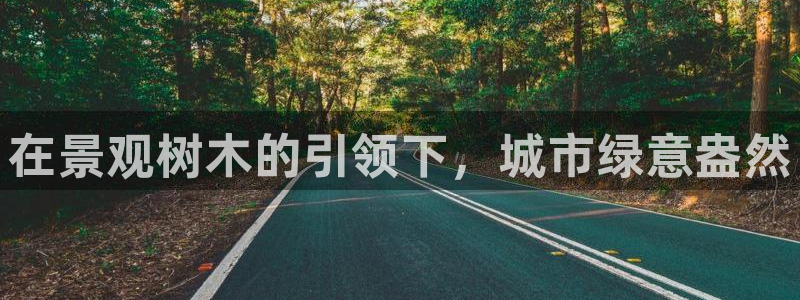 义乌摩根娱乐会所公主