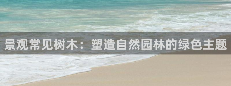 泉州摩根会娱乐