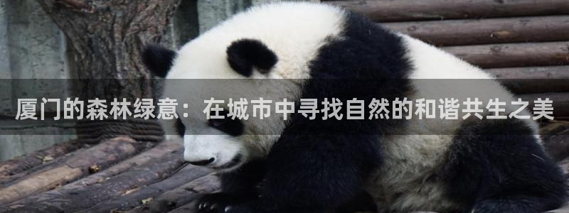 摩根大通投资娱乐公司