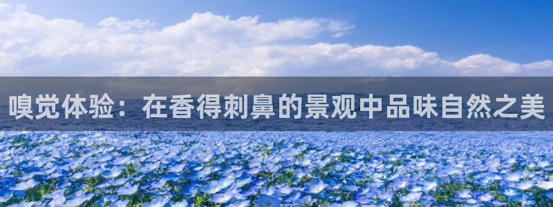 义务摩根娱乐会所