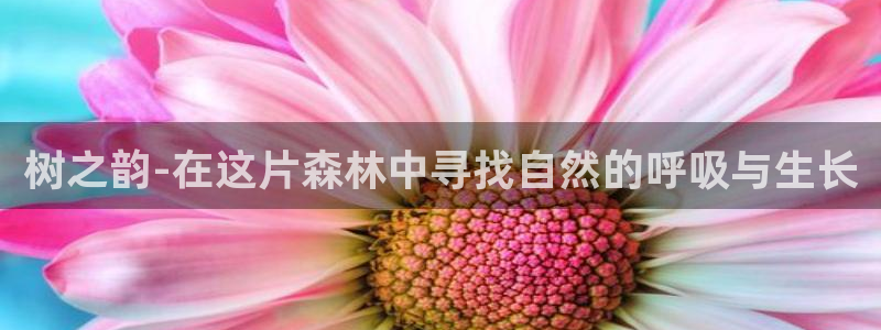 摩根 娱乐宝诈骗