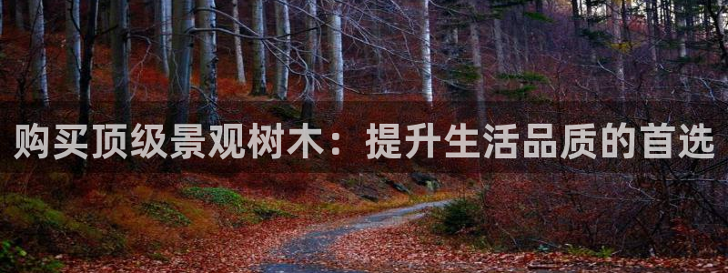 摩根娱乐宝总部