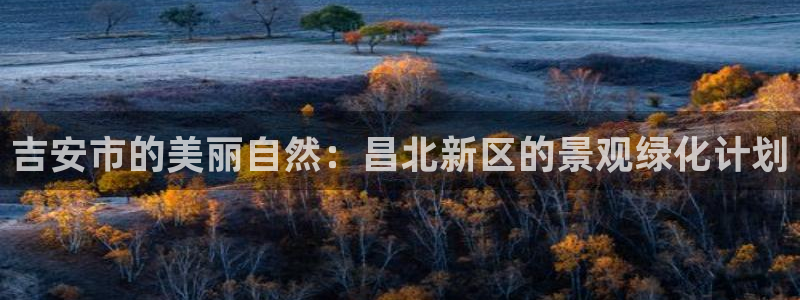 摩根娱乐宝怎么赚钱的