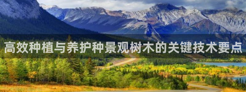 香港摩根娱乐宝