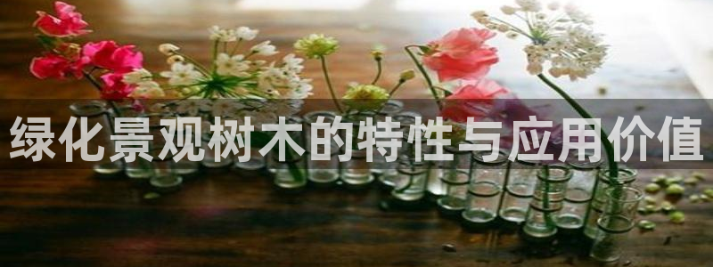 成都摩根娱乐会所