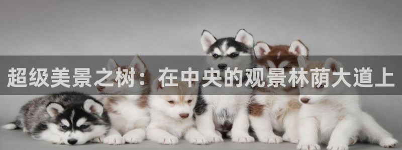 亚瑟摩根娱乐的地方