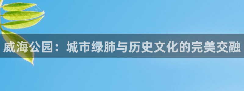 摩根兄弟进军娱乐圈