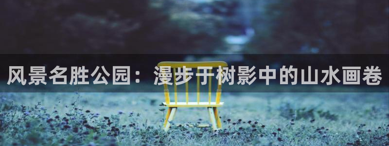 摩根士丹利娱乐