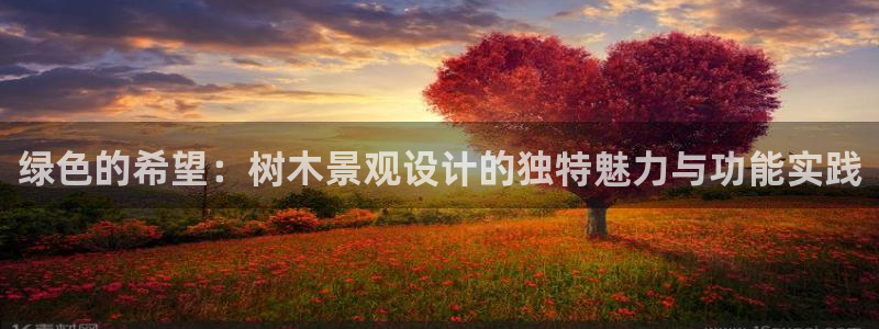 华视娱乐 摩根 王琛