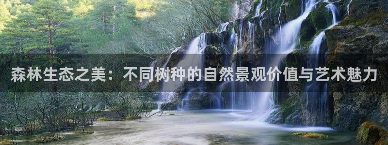泉州摩根娱乐会所地址