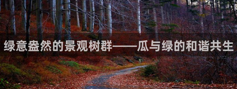 摩根娱乐宝进不去