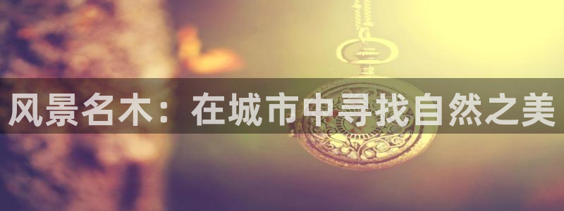 摩根娱乐是真的呀