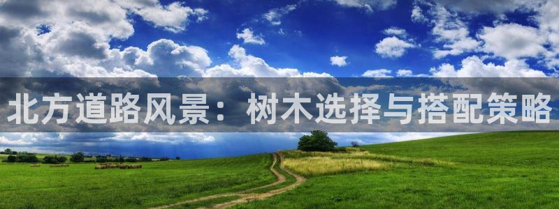 海贼王之娱乐摩根斯