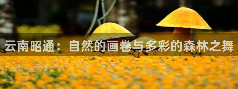 泉州摩根会娱乐保安