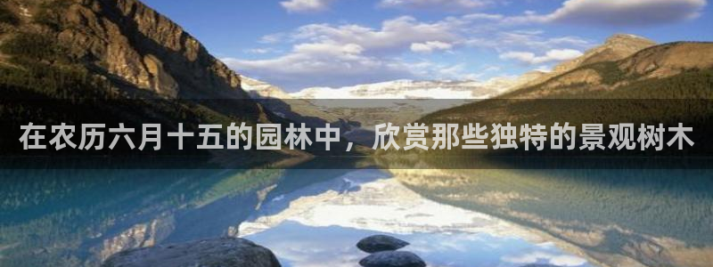 摩根娱乐包是什么