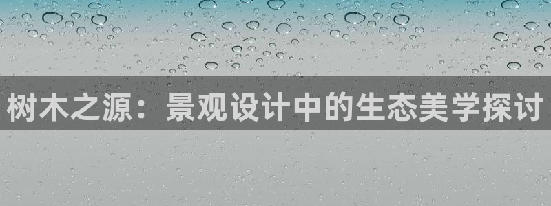 摩根士丹利娱乐银行