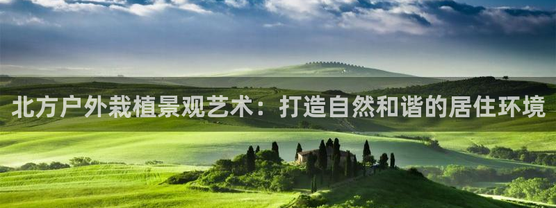 摩根中央公园娱乐