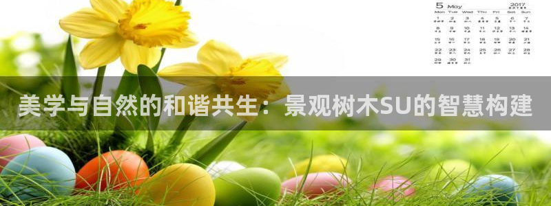 白宫摩根会娱乐会所