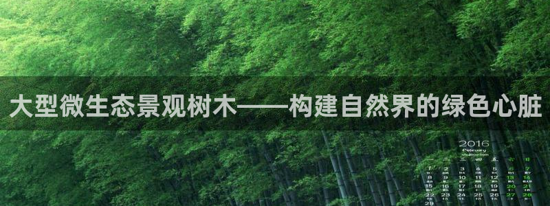 摩根娱乐L老L板50820