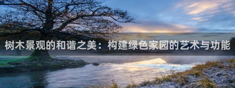 摩根娱乐宝口碑