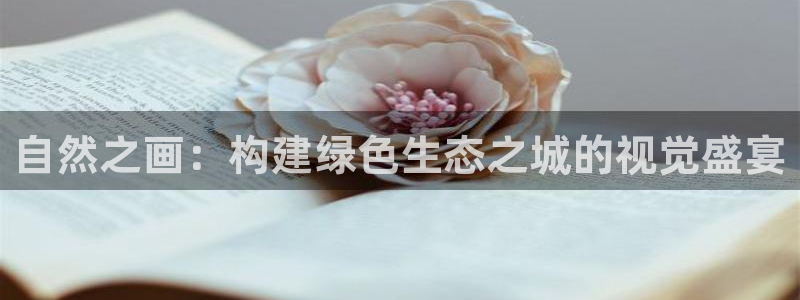 摩根大通黄金娱乐