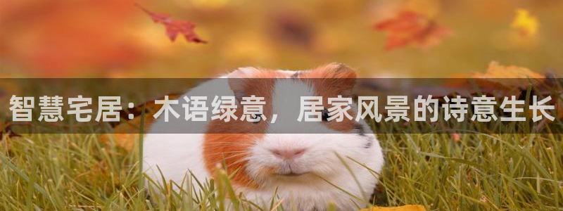 摩根国际娱乐宝官网下载