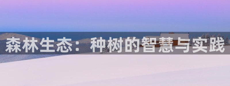 摩根娱乐宝教程