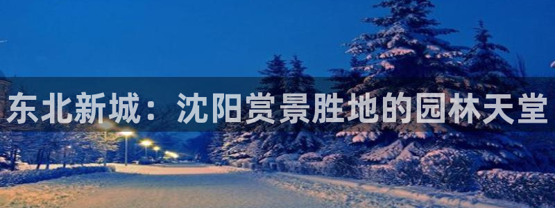 摩根娱乐开户总s管50015 18