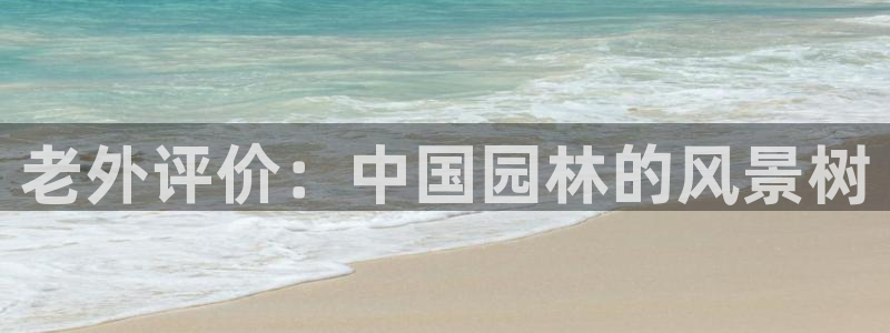 摩根士丹利凯撒娱乐