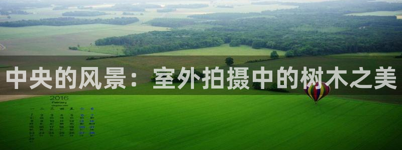 摩根娱乐宝官网下载