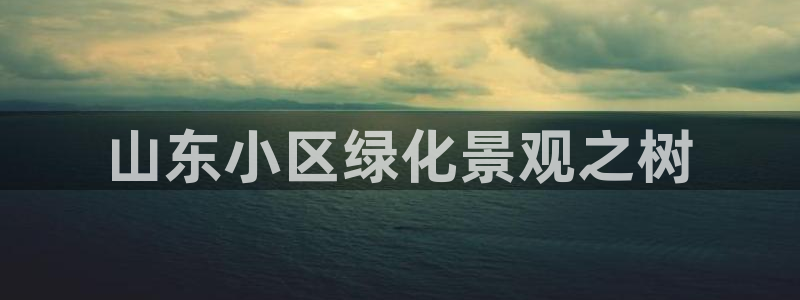 摩根娱乐云挂机是真的嘛