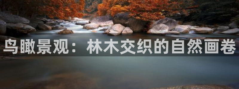 摩根娱乐宝微交易