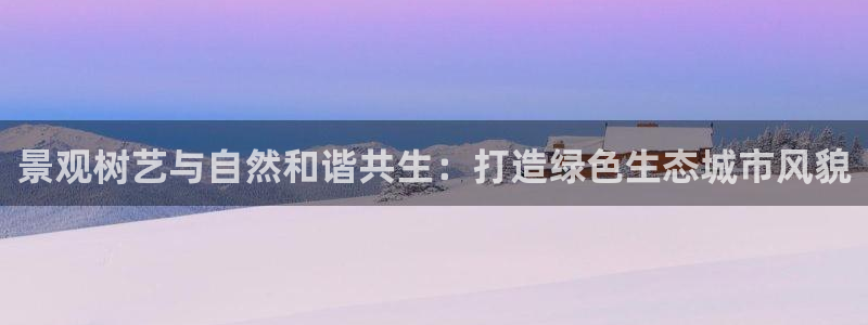 摩根娱乐¤股s东50015