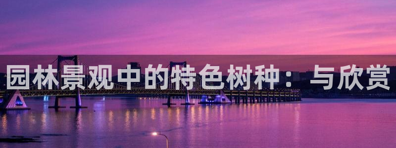 临平摩根国际娱乐会所