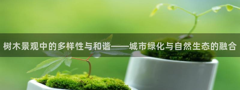 摩根娱乐50186联系