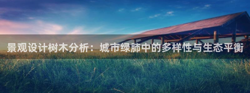 摩根娱乐宝创始人