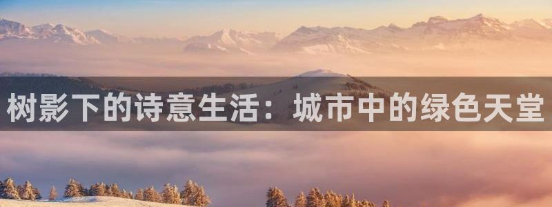 摩根兄弟进军娱乐圈