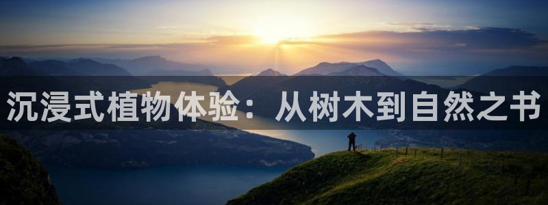 摩根娱乐老lb板50820